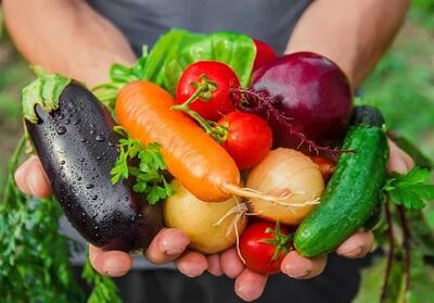 هسته‌ای در کشاورزی ــ 64 | کاهش نیاز به نگهدارنده‌های شیمیایی در مواد غذایی، با فناوری هسته‌ای - تسنیم