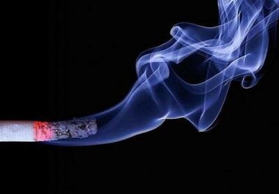 آیا ریه افراد سیگاری دوباره سالم می‌شود؟ - تسنیم