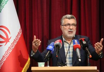 ظفرقندی: بسیاری از خانواده‌ها مشکل مالی ندارند اما به فکر فرزندآوری نیستند - تسنیم