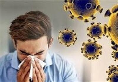 چرا آنفلوآنزای جدید (H3N2) شوخی‌بردار نیست؟/ قانون طلایی 48 ساعت نخست - تسنیم