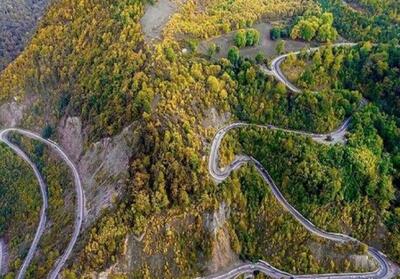 هیاهوی آفرودسواران و شلیک شکارچیان بر قلب جنگل‌ هیرکانی/ چه کسی پاسخگوست! - تسنیم