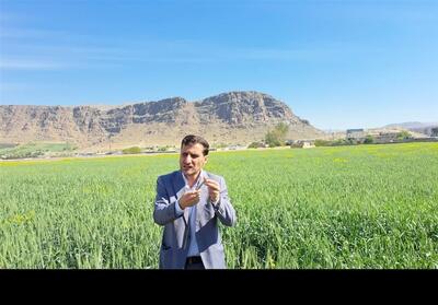 یادداشت| زنجیره نان ایران کجا می‌لنگد؟ - تسنیم