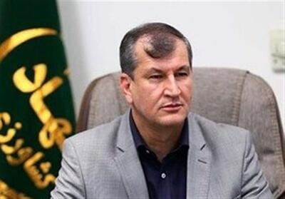 چالش‌های بودجه‌ای در مقابله با حمله ملخ صحرایی - تسنیم