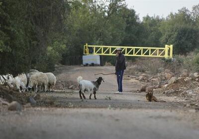 معیشت ساکنان قنیطره در گروگان اسرائیل/ خشم و فریاد سوری‌ها از انفعال جولانی - تسنیم