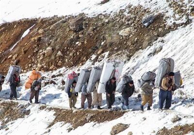 98 درصد از تعهدات ارزی پیله‌وران پرداخت نشد - تسنیم