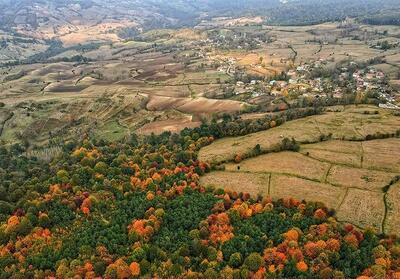 خلع‌ید 631 هکتار منابع طبیعی شمال/ 23 هزار هکتار از سواحل و تالاب‌ها سنددار شد - تسنیم