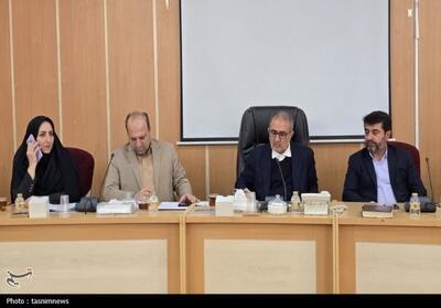 وعده جبران کسری آرد تا پایان ماه؛ کمیته تخصصی برای نظارت بر کیفیت نان تشکیل شد - تسنیم