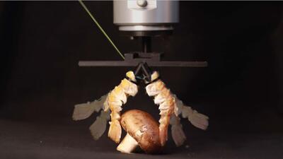 ساخت ربات با پوسته‌های بیرونی سخت‌پوستان + ویدیو