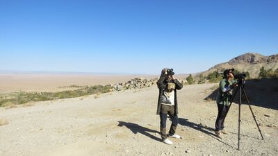 پرندگان شکاری در روستای قلعه بالای بیارجمند پایش می‌شوند