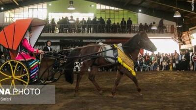  جشنواره زیبایی اسب کاسپین در انزلی