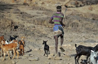 انسان‌ها هنوز در حال تکامل؟