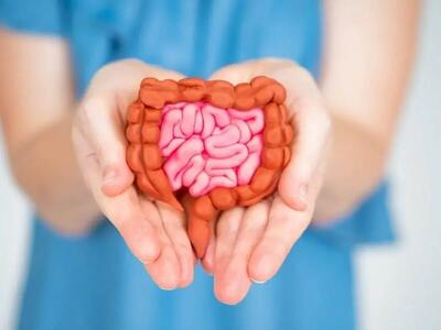  اینجا رو کلیک کن؛ روده باهات کار داره! (فیلم)