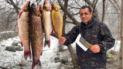  کباب ۷ کیلویی کپور علفخوار در طبیعت برفی روستا (فیلم)