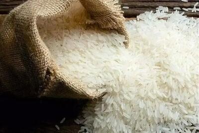 همکاری ایران و چین برای تولید برنج مقاوم به خشکی