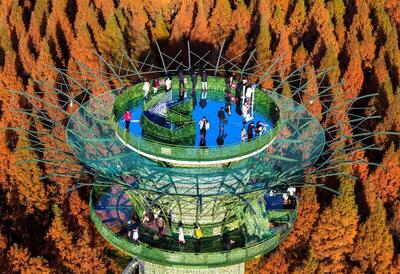  دیدنی های امروز؛ از آخرین اَبَرماه سال 2025 تا اخراج مهاجران از آمریکا