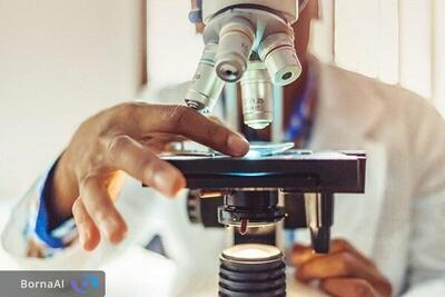  اطلاعیه مهم برای دانشجویان دکتری متقاضی شرکت در مدرسه تابستانه دانشمندان جوان یاسا