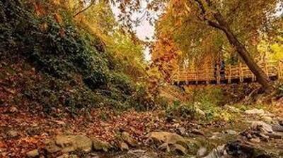 جزئیات فاز دوم روددره فرحزاد/ بهره‌برداری تا پایان سال