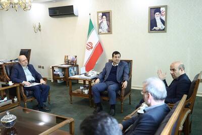 دیدار معاون وزیر نیرو با دنیامالی