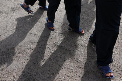 ۶ عضو باند کلاهبرداری خودرو دستگیر شدند |  انصاف نیوز