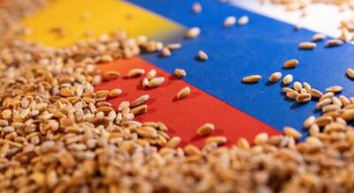 صفر شدن عوارض صادرات غلات در روسیه