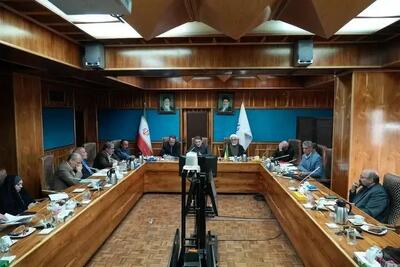 چهاردهمین نشست بازنگری قانون احزاب و تشکل‌های سیاسی برگزار شد