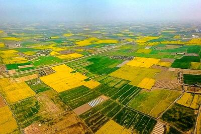  ۱۳۰ هزار هکتار از منابع طبیعی استان قزوین جهت صیانت به محیط زیست واگذار شد