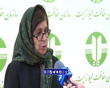  زنی که دورریزها را به ثروت بدل کرد + فیلم