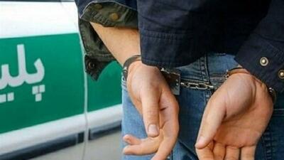 مهدی عربلو، جراح زیبایی قلابی دستگیر شد