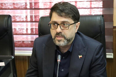  خامسیان: دولت مخالف دخالت در امور دانشگاه است