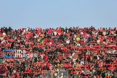 مدیرکل ورزش تهران: باشگاه پرسپولیس در رشته های دیگر ورزشی تیم‌داری کند