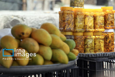  چهار سال بلاتکلیفی؛ مجوز واحد فرآوری انبه در سیستان و بلوچستان تعیین تکلیف شود