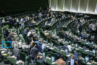 تاکید نماینده خدابنده بر اعلام وصول استیضاح وزیر جهاد کشاورزی