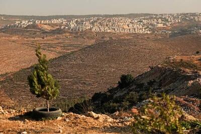  استقرار کانکس توسط صهیونیست‌ها در اراضی فلسطینیان رام‌الله