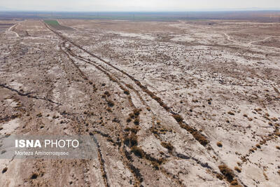  مدیرکل منابع طبیعی خراسان رضوی: خشکسالی، توان اکولوژیکی مراتع را کاهش داده است