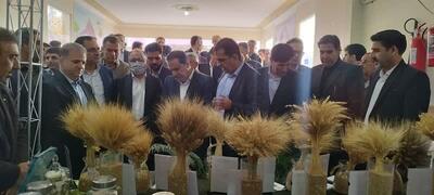 استاندار ایلام: ایده‌های پژوهشی می‌توانند مسیر توسعه استان را متحول کنند