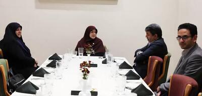 سخنگوی دولت با استقبال استاندار وارد کرمان شد