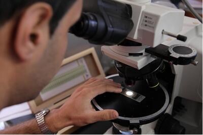  شیوه‌نامه طرح «دانا» برای حمایت از دانش‌آموختگان دکترا ابلاغ شد