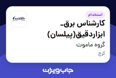  استخدام کارشناس برق_ ابزاردقیق(پیلسان) - آقا در گروه ماموت