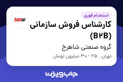  استخدام کارشناس فروش سازمانی (B2B) - آقا در گروه صنعتی شاهرخ