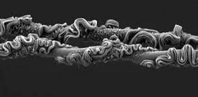 شاهکارهای عکاسی که برندۀ جایزه شدند؛ از «تار عنکبوت» تا «پروانه‌ای شبیه مار»