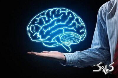 پیوند مغز؟ فعلا ممکن نیست! - مجله اینترنتی کولاک