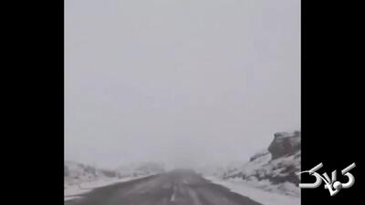 بارش شدید برف فضای این جاده را زمستانی کرد +ویدیو - مجله اینترنتی کولاک