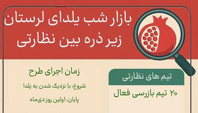  اینفوگرافیک؛ بازار شب یلدای لرستان زیر ذره‌بین نظارتی