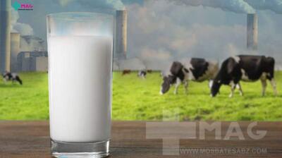 میگنا - شیر فاقد هرگونه نقش مستقیم در فرآیند فیزیولوژیک سم‌زدایی بدن می‌باشد