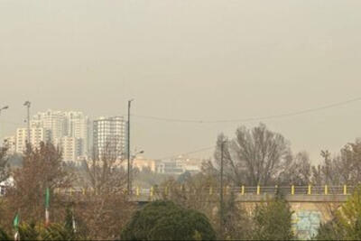 فضای سبز، سپر نابرابر پایتخت در برابر آلودگی هوا