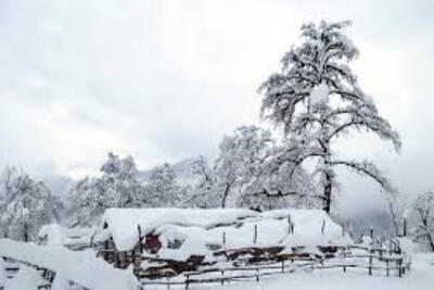 موج سنگین بارش و برف ارتفاعات مازندران را درنوردید
