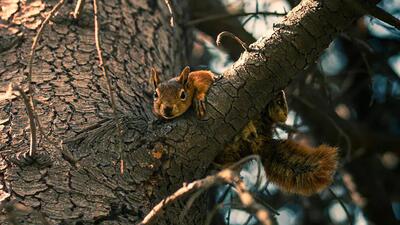  فال ابجد مخصوص 16 آذر