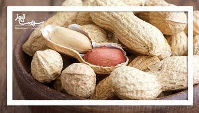بادام‌زمینی؛ خوراکی ساده با قدرت شگفت‌انگیز تقویت حافظه