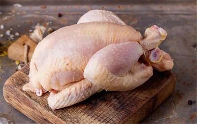 قیمت مرغ ظهر یکشنبه ۱۶ آذر ۱۴۰۴