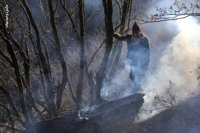 روایت وحید بیات، عکاس مشهدی از آتش سوزی جنگل‌های هیرکانی | عکاسی بحران مرز احساس و حرفه را می‌شکند